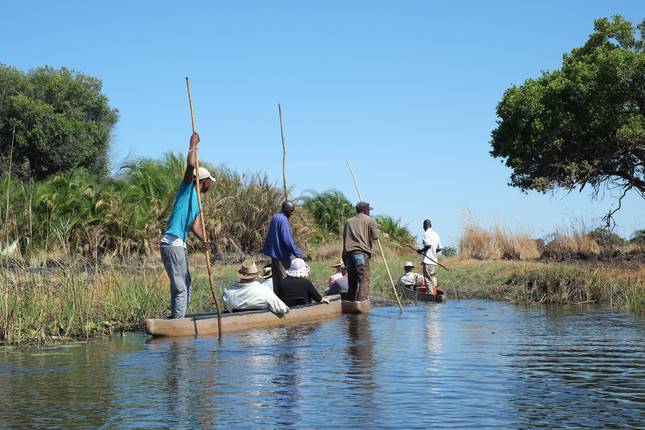 Kruger, Delta, Chobe & Falls - 14 days