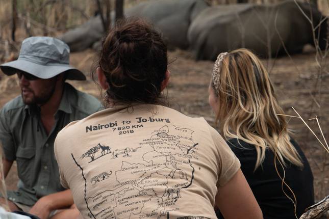 Kruger, Delta, Chobe & Falls - 14 days