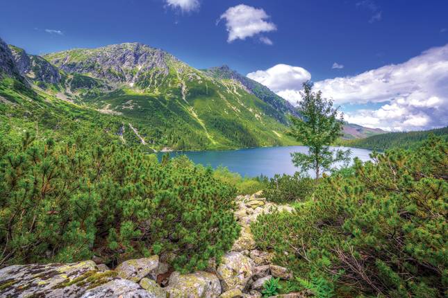 Journey through Central Europe & Romania