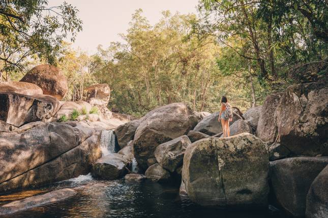 Przygoda Daintree & Cape Tribulation