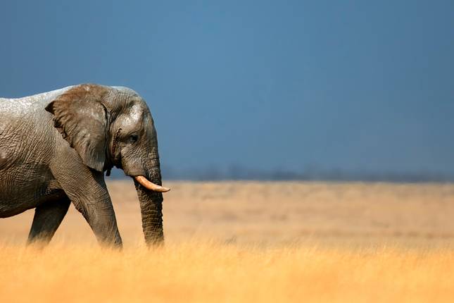 Namibia Discovery (10 destinations)