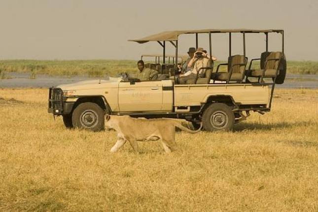 10 Best Botswana Tours & Trips 2025/2026 - TourRadar