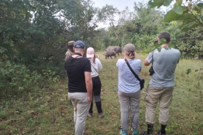 10 Best Uganda Tours & Trips 2024/2025 - TourRadar