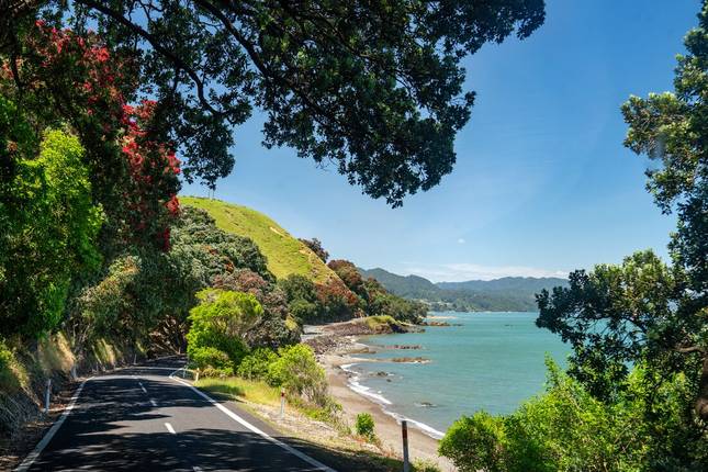 Ultimate New Zealand