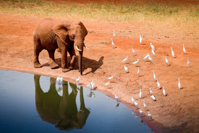 Scenic Kenya Safari, Private Tour