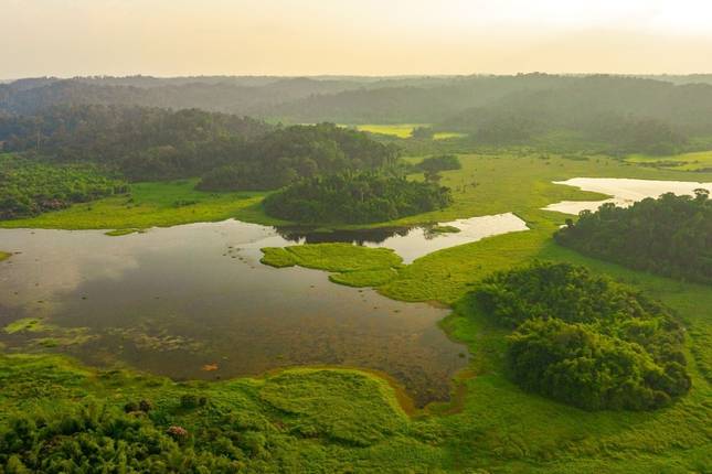 3 Days/2 Nights in Nam Cat Tien - Ecological Trails – Night Safari – Gibbon Trekk - Crocodile Lake – Boat Tour