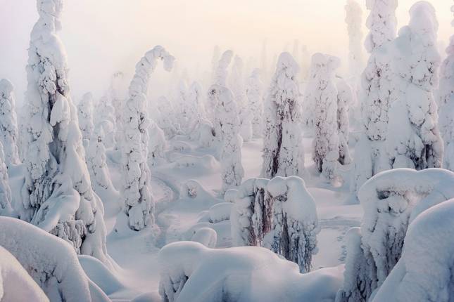 Winter-Faszination Finnland