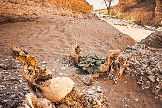 Namibia Entdeckungstour (nordliche Richtung)