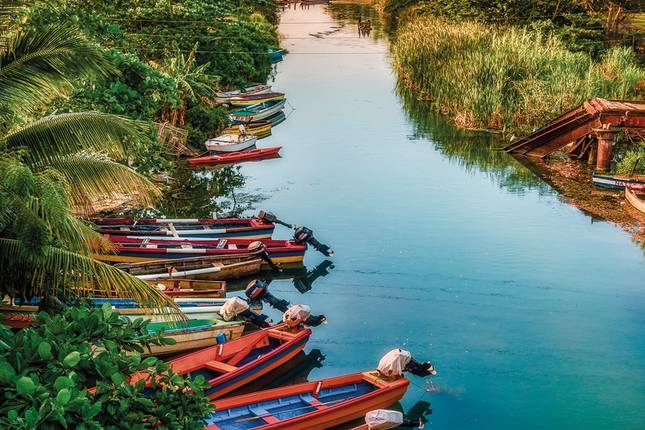 Jamaica's colorful diversity