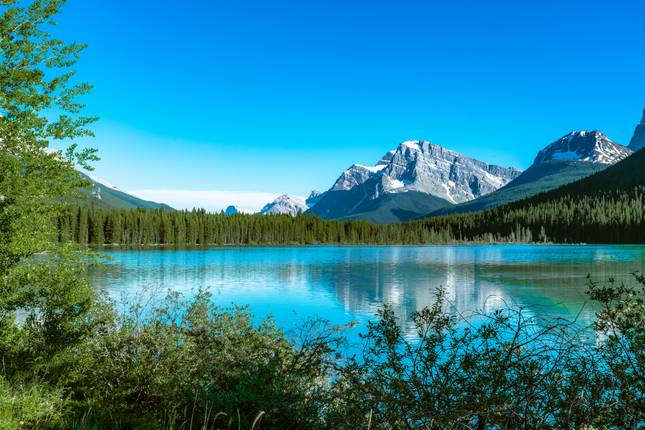 Canadian Rockies by Train  (Vancouver, BC to Calgary, AB) (2025)