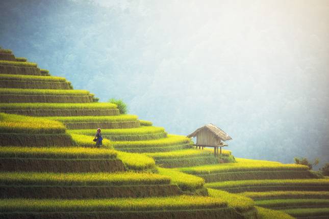 Ontdek Vietnam en Cambodja: Een 15-daagse reis