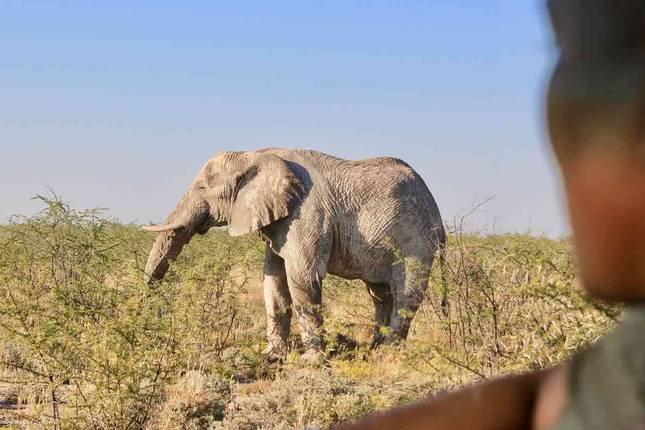 Namibia Jewel