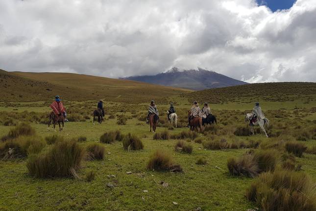 Horseback Ride Through Cotopaxi National Park to Limpiopungo Lagoon - Small Group