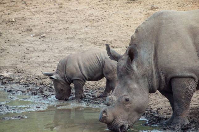 Southern Africa Overland Safari & Participation Camping