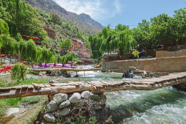 Ourika Valley & Berber Cultural Experience: Private Nature Escape with Lunch