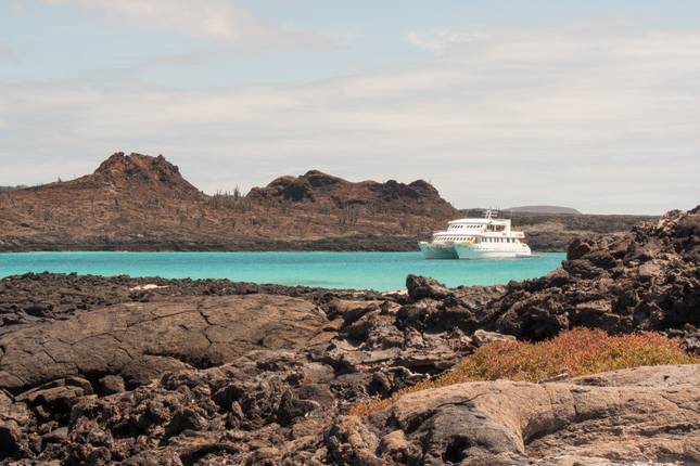 Galapagos Uncovered