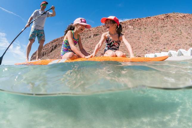 Baja - Marine Wildlife Adventure Tour