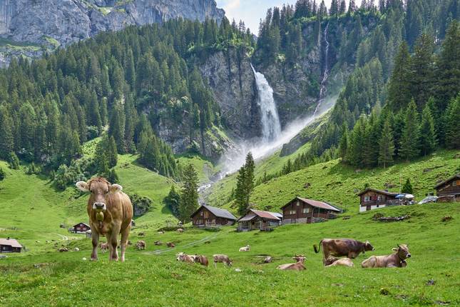 France and Switzerland with enchanted Alsace (including Epernay)