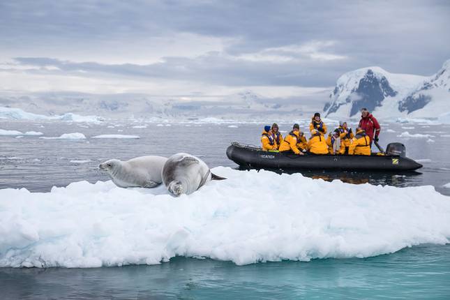 South Georgia and Antarctic Peninsula: Penguin Safari