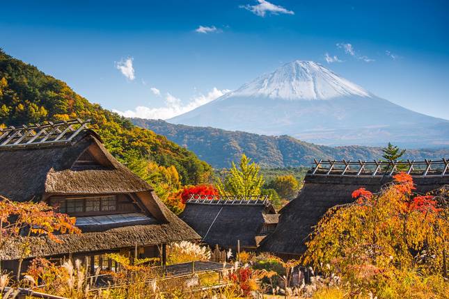 Contrasts of Japan end Tokyo (11 destinations)