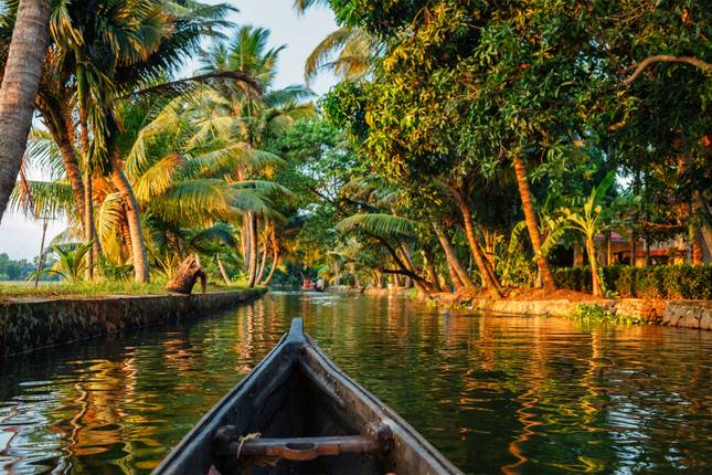 Cochin: 5-dniowa wycieczka po Kerali z Munnar, Thekkady i Alleppey!