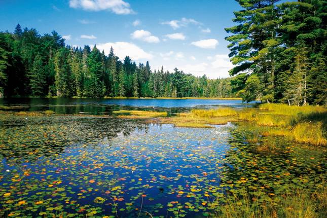 Algonquin by Canoe - Tent