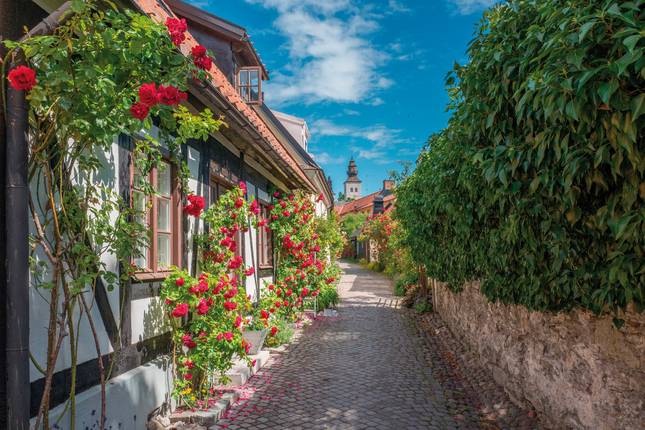 Stockholms Scharenzauber