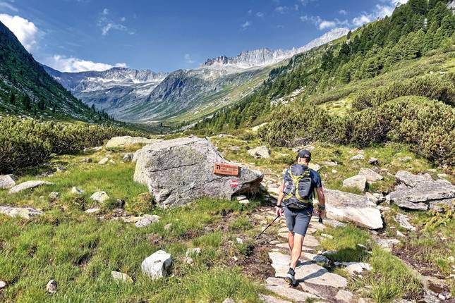 National Park & Glacier Worlds