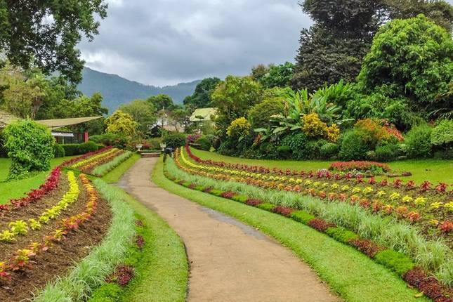 Breathe. Wander. Repeat – The Sri Lanka Retreat - 12 Days | Semi-Luxury | 3 - 4 Star Hotels