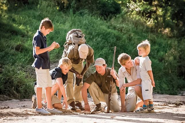 Nature, bush and beach deluxe