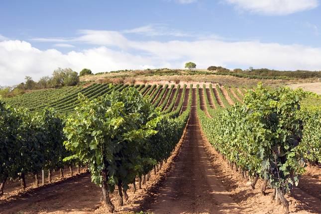 Best of Northern Spain & Porto - 10 days