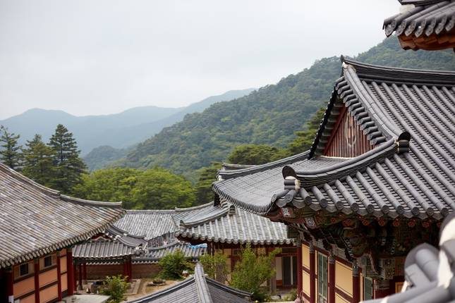 Flavors and Colors of Korea