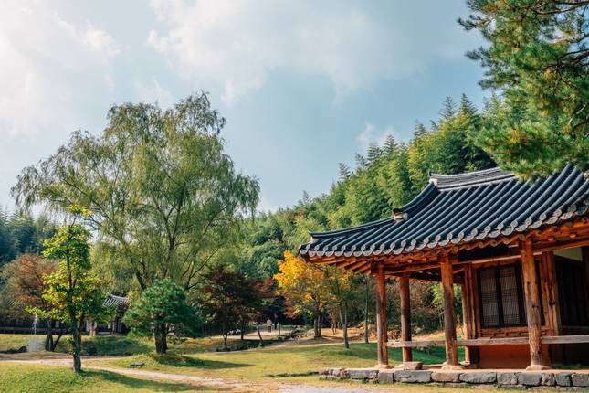 Shining Korea and Essential Japan