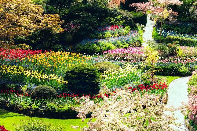 Rockies with Alaska by Sea and Land Victoria → Fairbanks (2026)