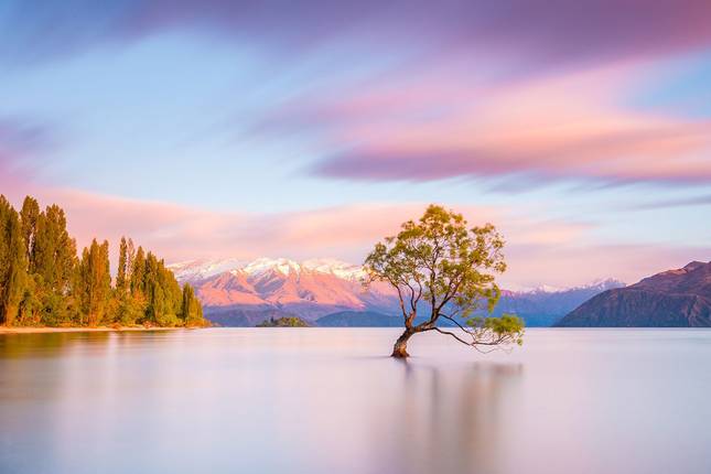 Auckland to Queenstown Adventure - 17 days