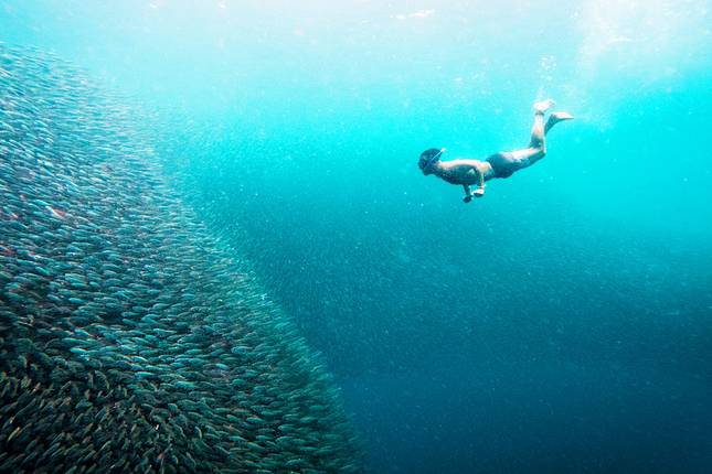 Highlights of the Philippines Youth Adventure - 17 days