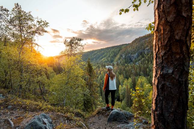 Finnish Lapland Discovery