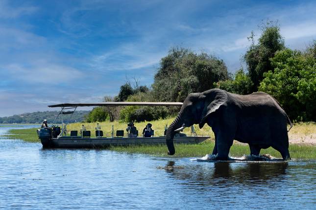 South Africa, Victoria Falls and Botswana Honeymoon Safari