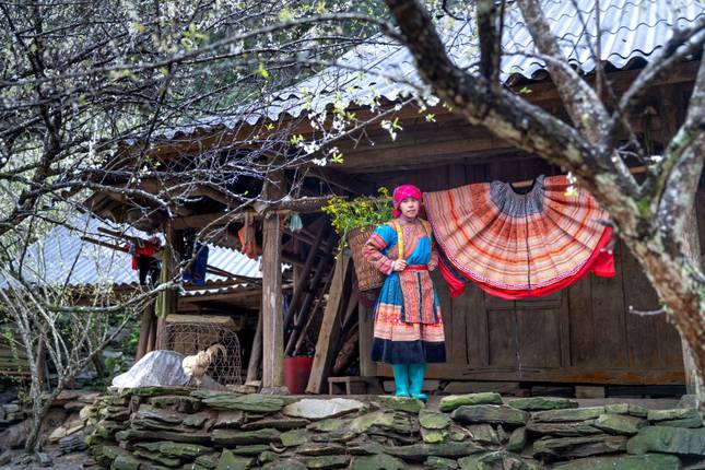 مستكشف فيتنام لمدة 11 يومًا: التاريخ، والمشي لمسافات طويلة، وأجمل الكنوز الخفية (Ninh Binh, Sapa, Da Nang, Hoi An, Ho Chi Minh Group Tour)