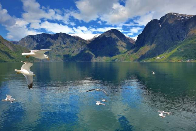 Oslo to Bergen (3 Star) - 7 days