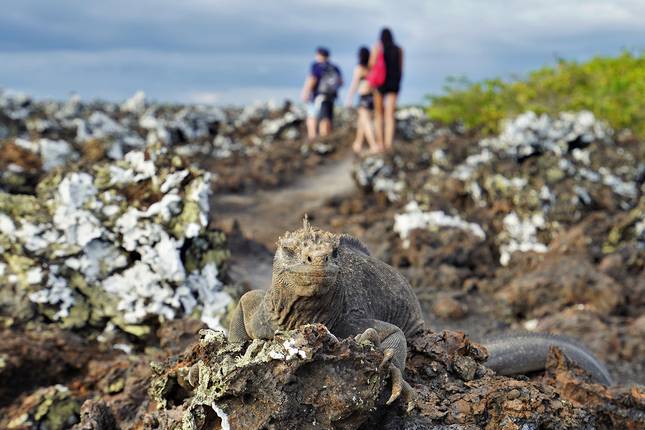 Galapagos Islands Explorer - 7 days