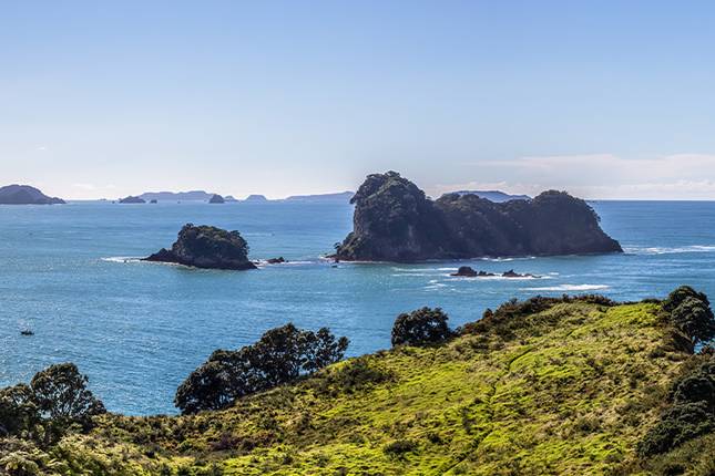 New Zealand's North to South Island Adventure