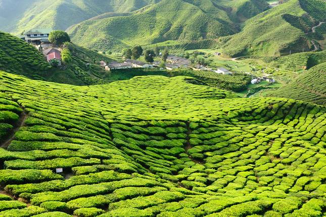 Best of Malaysia - 7 days