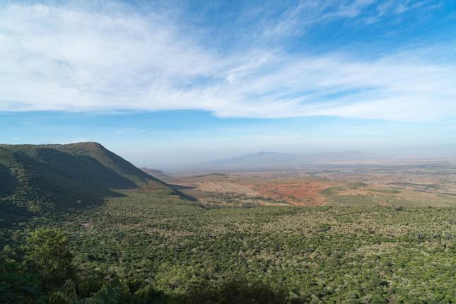 Untamed Kenya: From Roars to Reefs & Rooftops