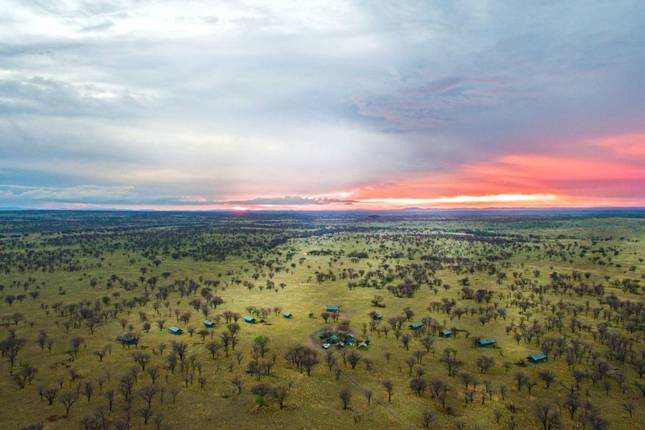 Wildnis zwischen Kilimanjaro und Serengeti (8 Destinationen)