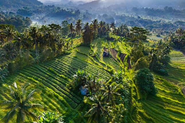 Bali & Lombok: Lost in Lava, Found at Sea