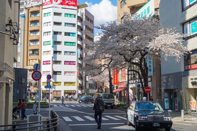 Japan Winter Adventure (2026-27)