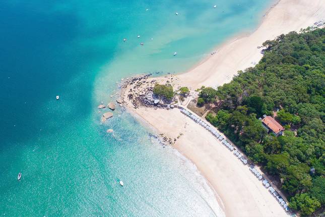 Tropical Retreat: Roundtrip Bridgetown