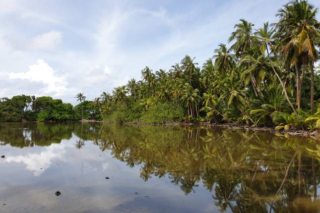Northern Maldives Discovery - 8 days