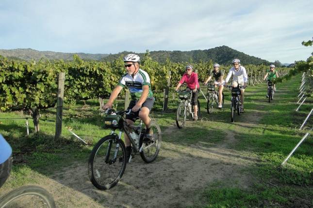 San Francisco, Redwoods & Vineyards - 5 days